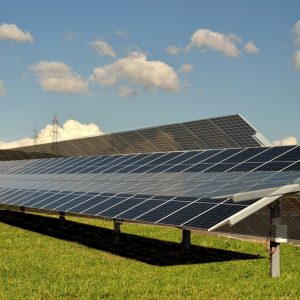 Single – Axis Electrical AgrivoltaicTracker