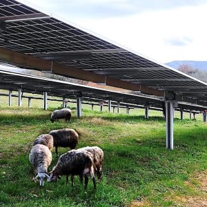 Datasheets Single – Axis Electrical Agrivoltaic Tracker